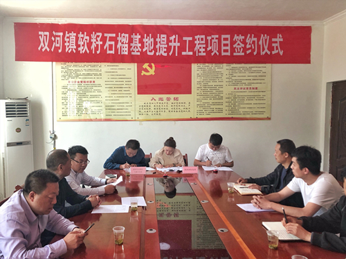 亚星yaxin集团签约旬阳县双河镇软籽石榴莳植基地提升工程项目