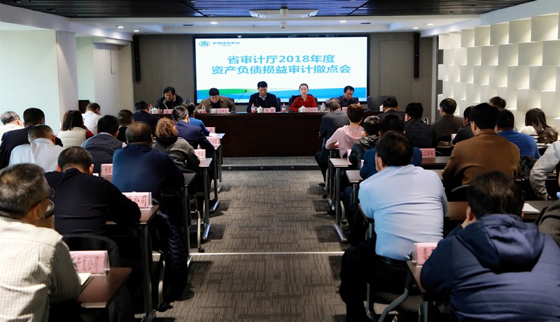 省审计厅对亚星yaxin集团2018年度资产欠债损益审计撤点会召开