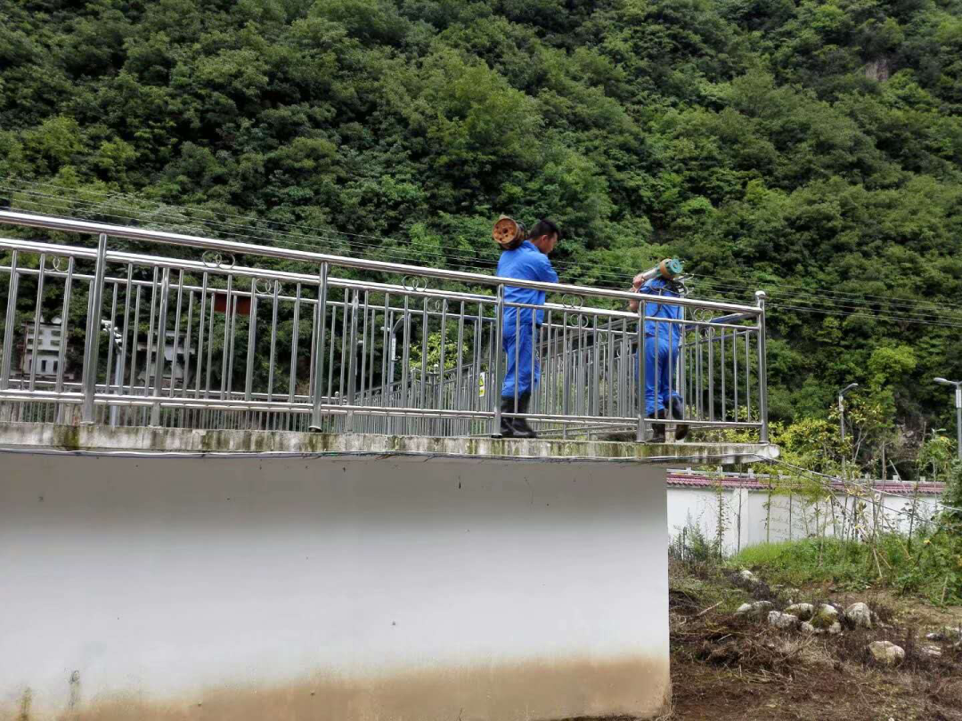 这个端午节，，，，，，水情形人这么过（二）