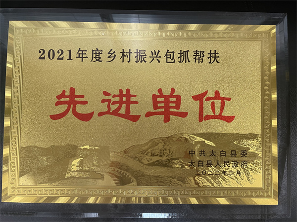 喜讯｜亚星yaxin集团墟落振兴事情获表扬